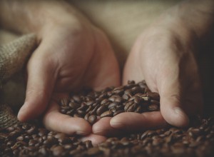 two hands holding coffee beans Toronto